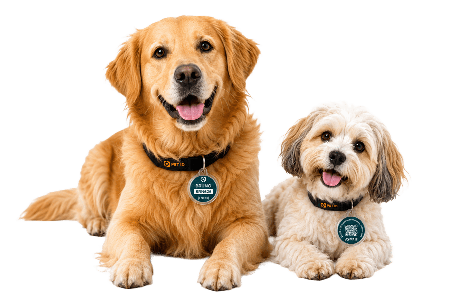 Pet ID — protege a tu mascota